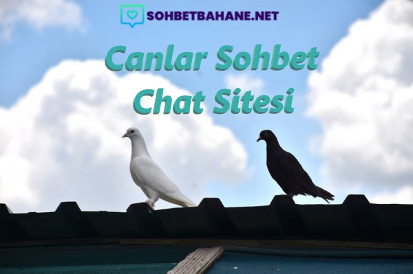 Canlar Sohbet Chat Sitesi